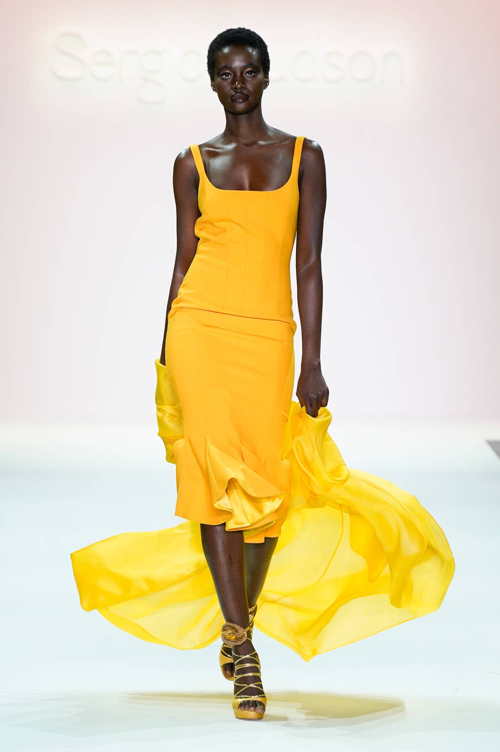 sergio hudson corset dress Sergio Hudson Bustier Belted Eyelet Dress with Crinoline