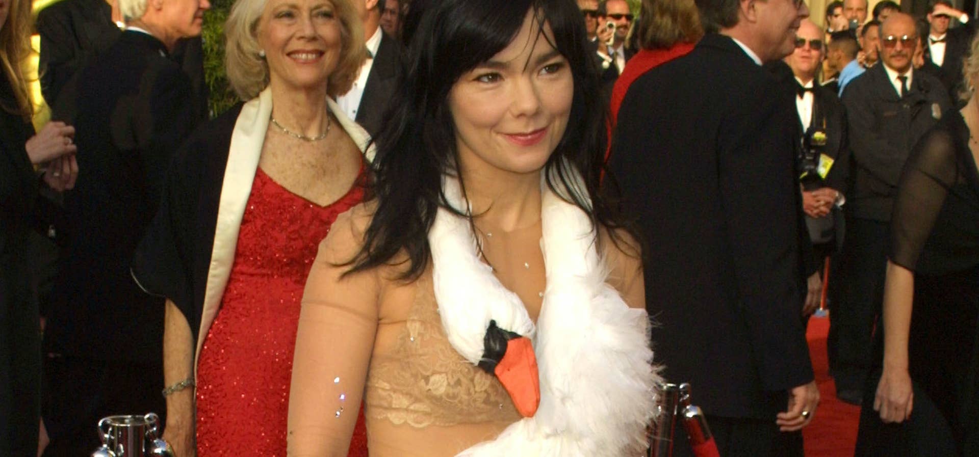 Great Outfits in Fashion History: Bjrk's Swan Dress - Fashionista