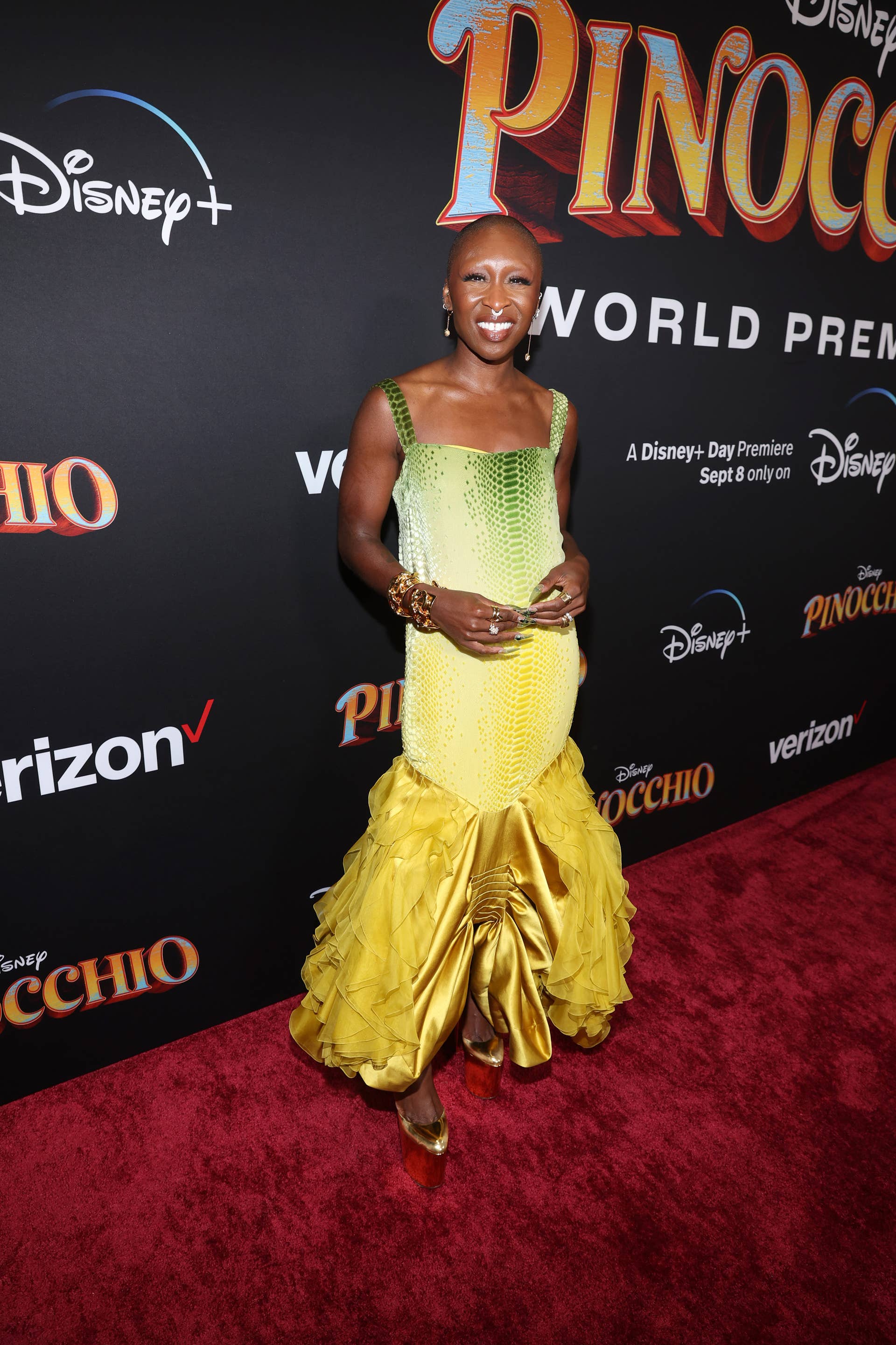 Cynthia Erivo Serves High-Fashion, Galliano-Era Dior Fairy Princess on the  Red Carpet
