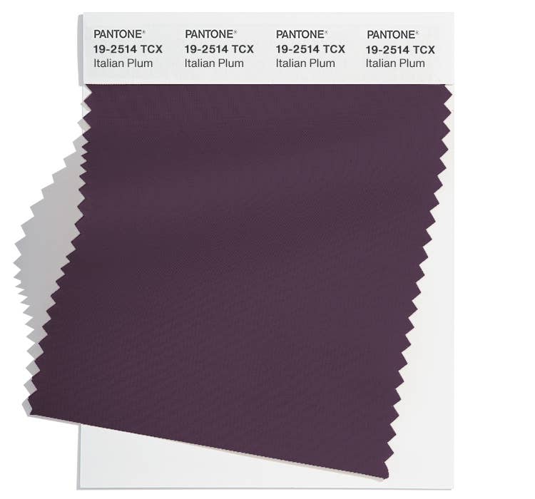 These Are the Top Fall 2024 Color Trends From New York Fashion Week ...