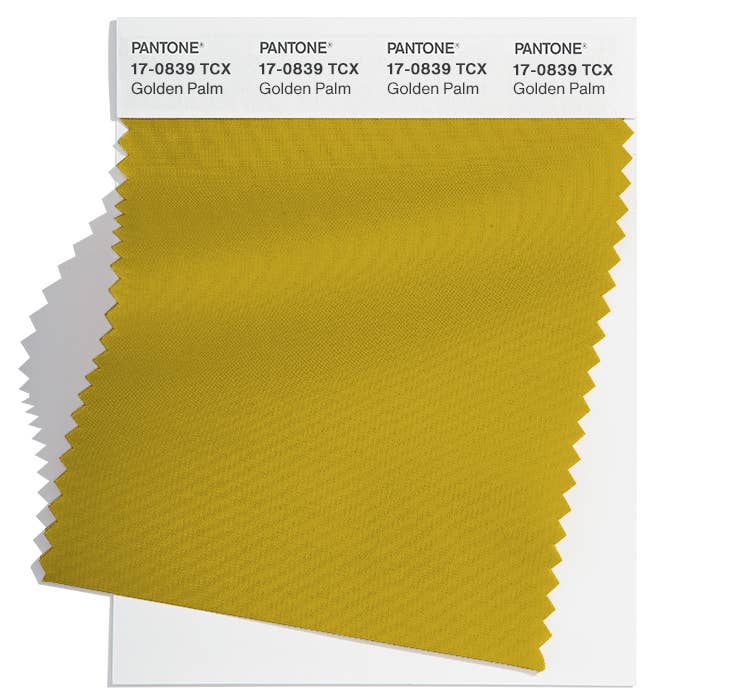 These Are the Top Fall 2024 Color Trends From New York Fashion Week ...