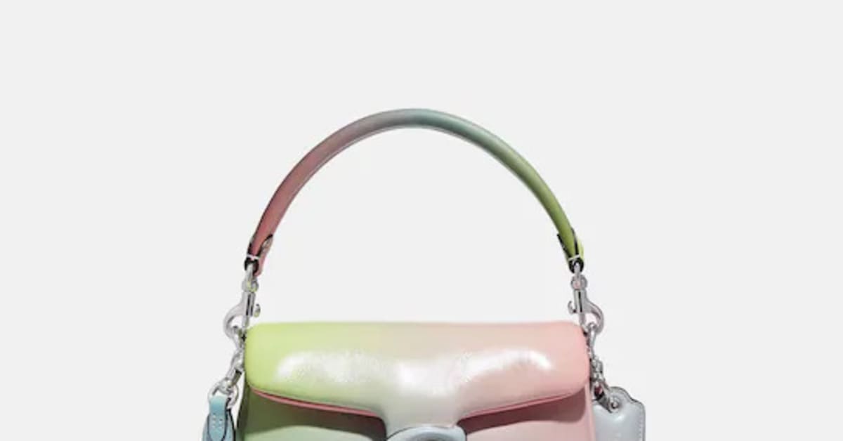 Coach cheap ombre bags