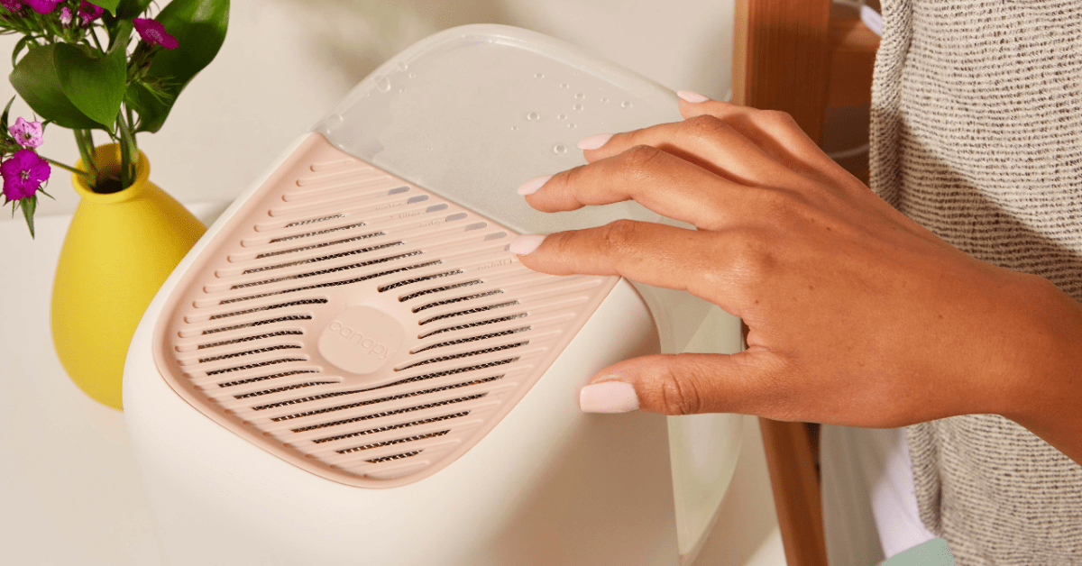 Canopy Humidifier Review Aesthetic Easy to Clean No Mold