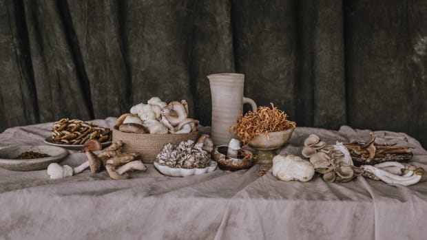 functional-mushrooms-health-wellness-benefits-products