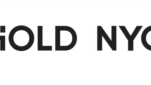 hold nyc logo