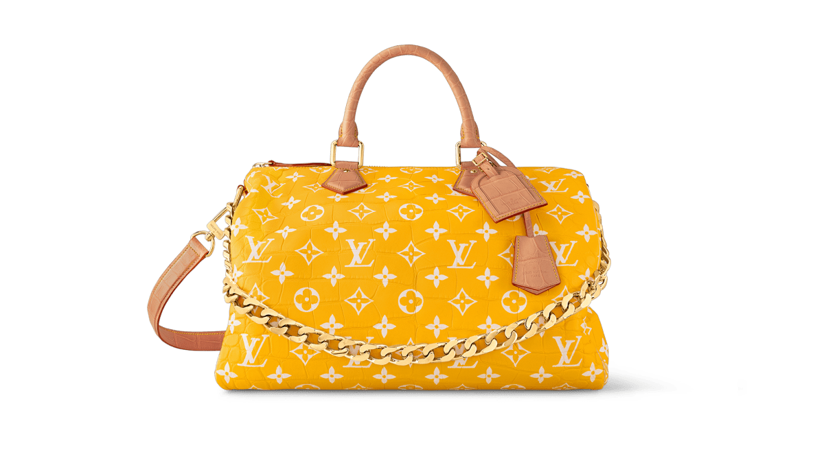 Louis Vuitton Designer Bag | D.C. fashion | Alicia Tenise