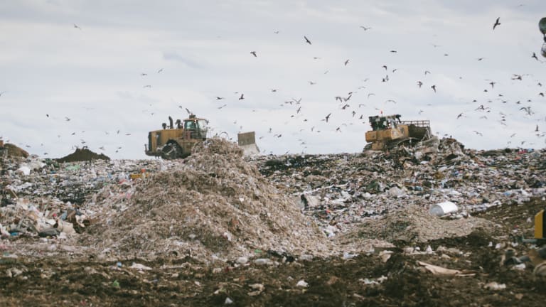 The Designer Bag at the Garbage Dump: A Novel