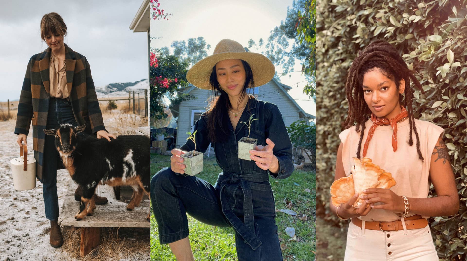 farmer-forager-homesteader-influencer-fa