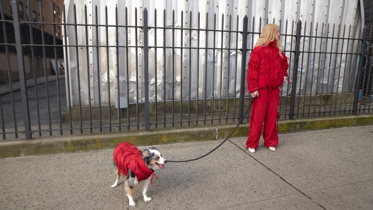 Saks store moncler dog