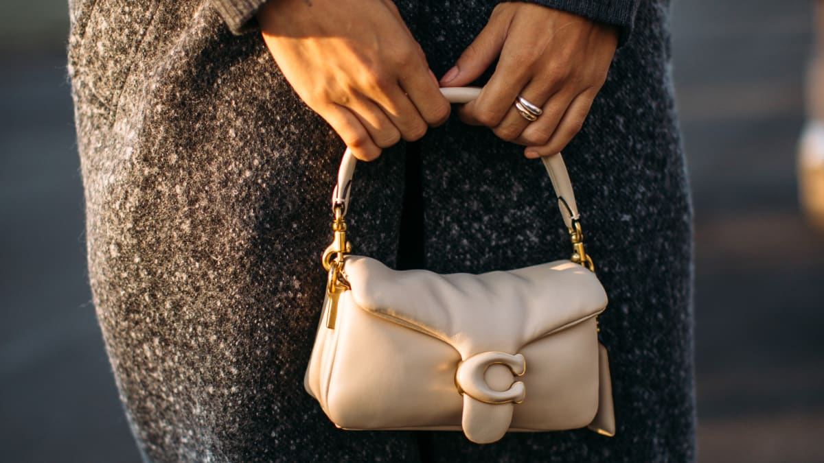 Why Is Everyone Obsessed With Pillow Bags Fashionista