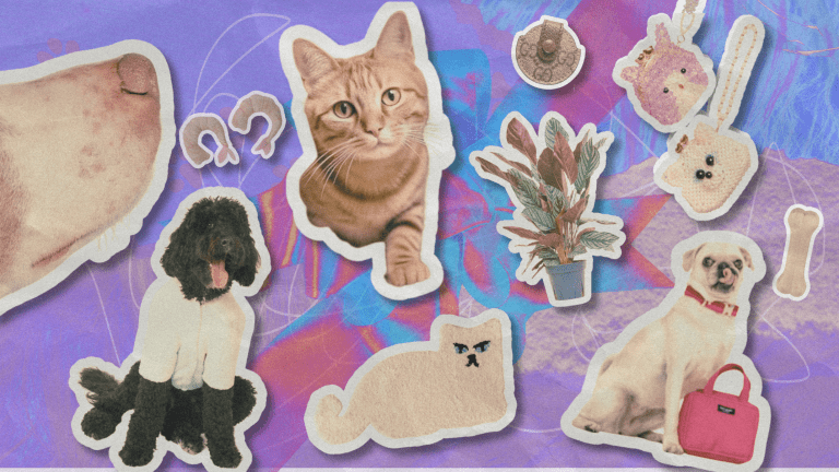 Gifts for pet parents top