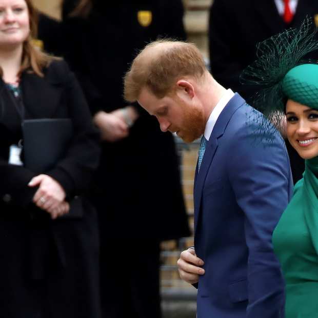 CREPE KNIT CRAVAT DRESS - GREEN - Scanlan Theodore