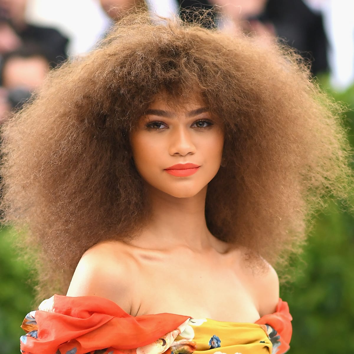 Great Outfits in Fashion History (Beauty Edition): Zendaya's Voluminous,  Brushed-Out Afro at the 2017 Met Gala - Fashionista