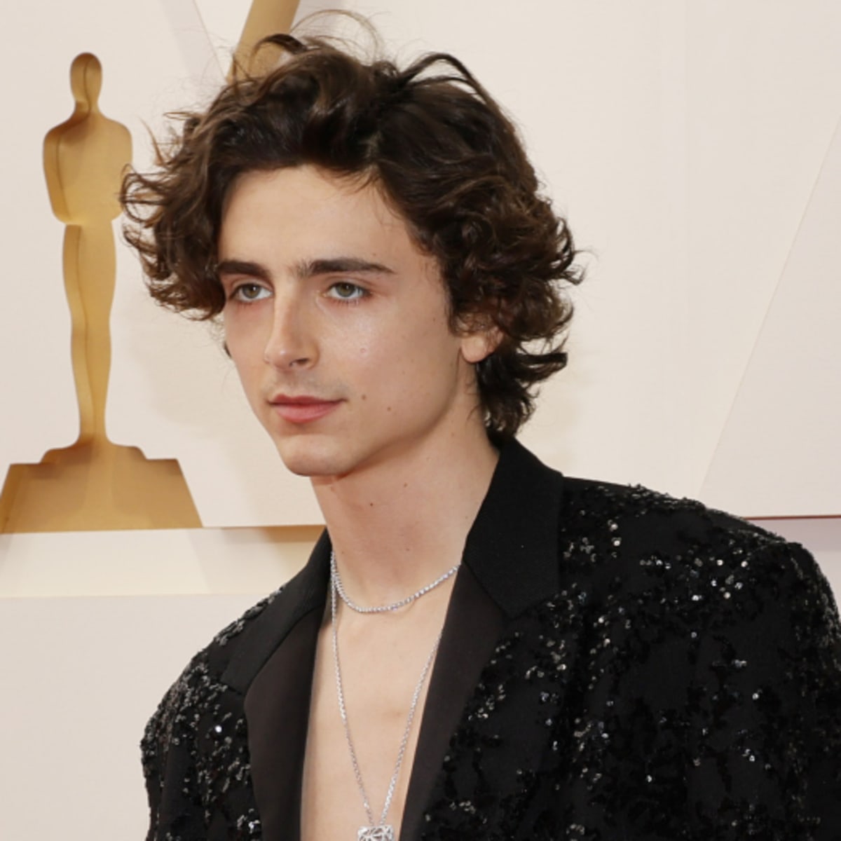 Oh My God, Timothée Chalamet Showed Up Shirtless to the Oscars - Fashionista
