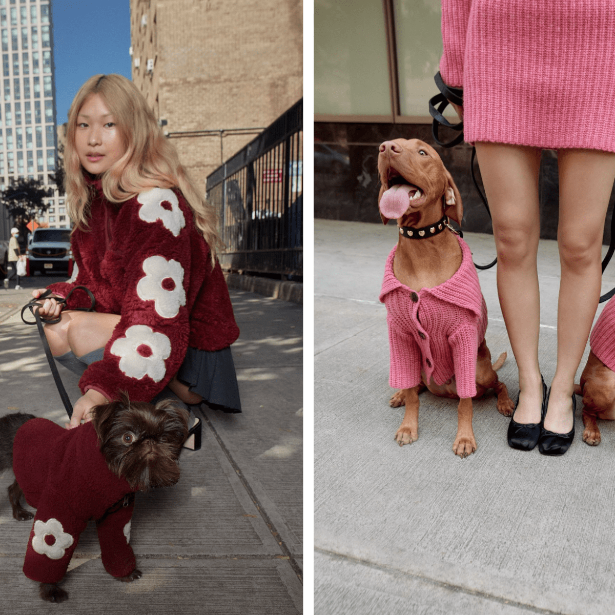 Now Your Dog Can Be a Sandy Liang Girl, Too - Fashionista