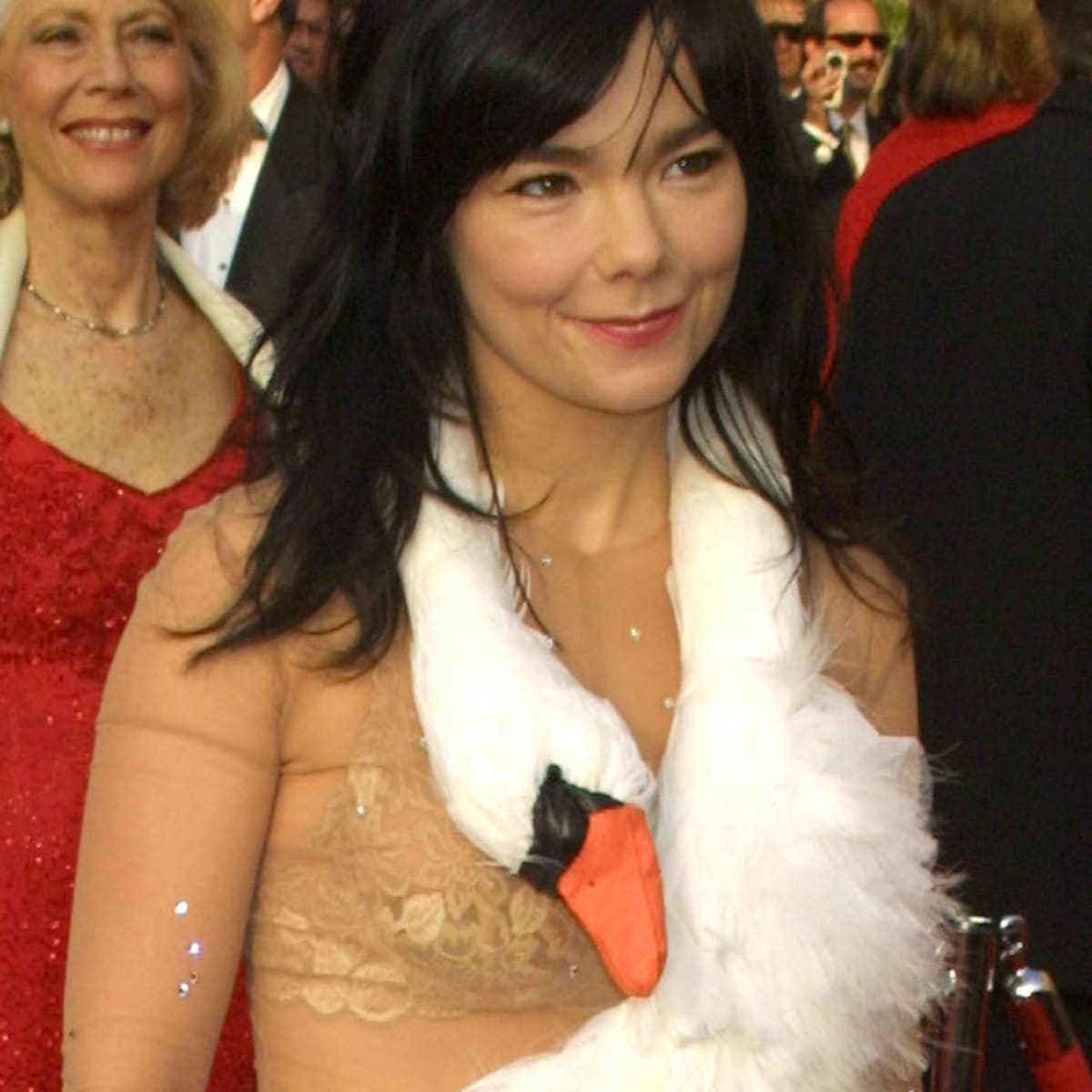 Bjork Swan Dress