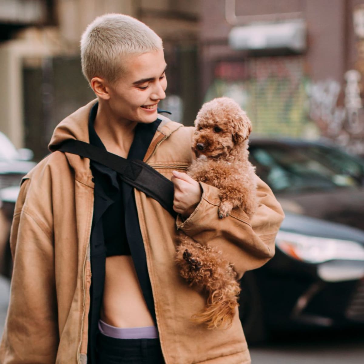 Dogs Were the Ultimate Street Style Trendsetters During Fall 2023