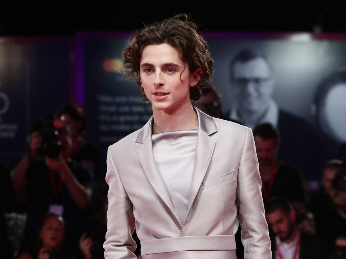Timothée Chalamet Haircut Illustration, Call Me By Your Name, The King,  Beautiful Boy, Ladybird