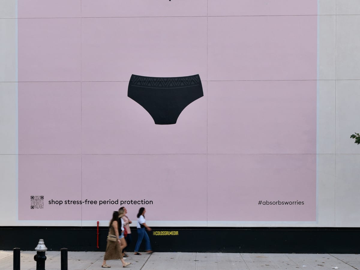 Thinx BTWN Bikini Panties, Period Underwear for India