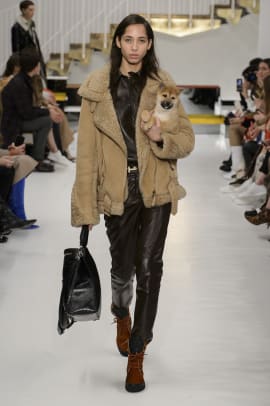 Live Puppies Were the Real Stars of Tod's Fall 2018 Collection ...