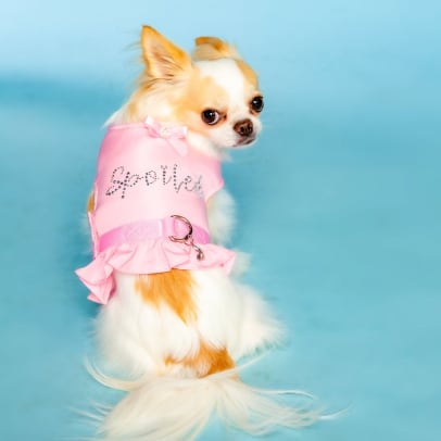 Doggy Parton Rhinestone Spoiled Pink Body Harness for Pets, $5