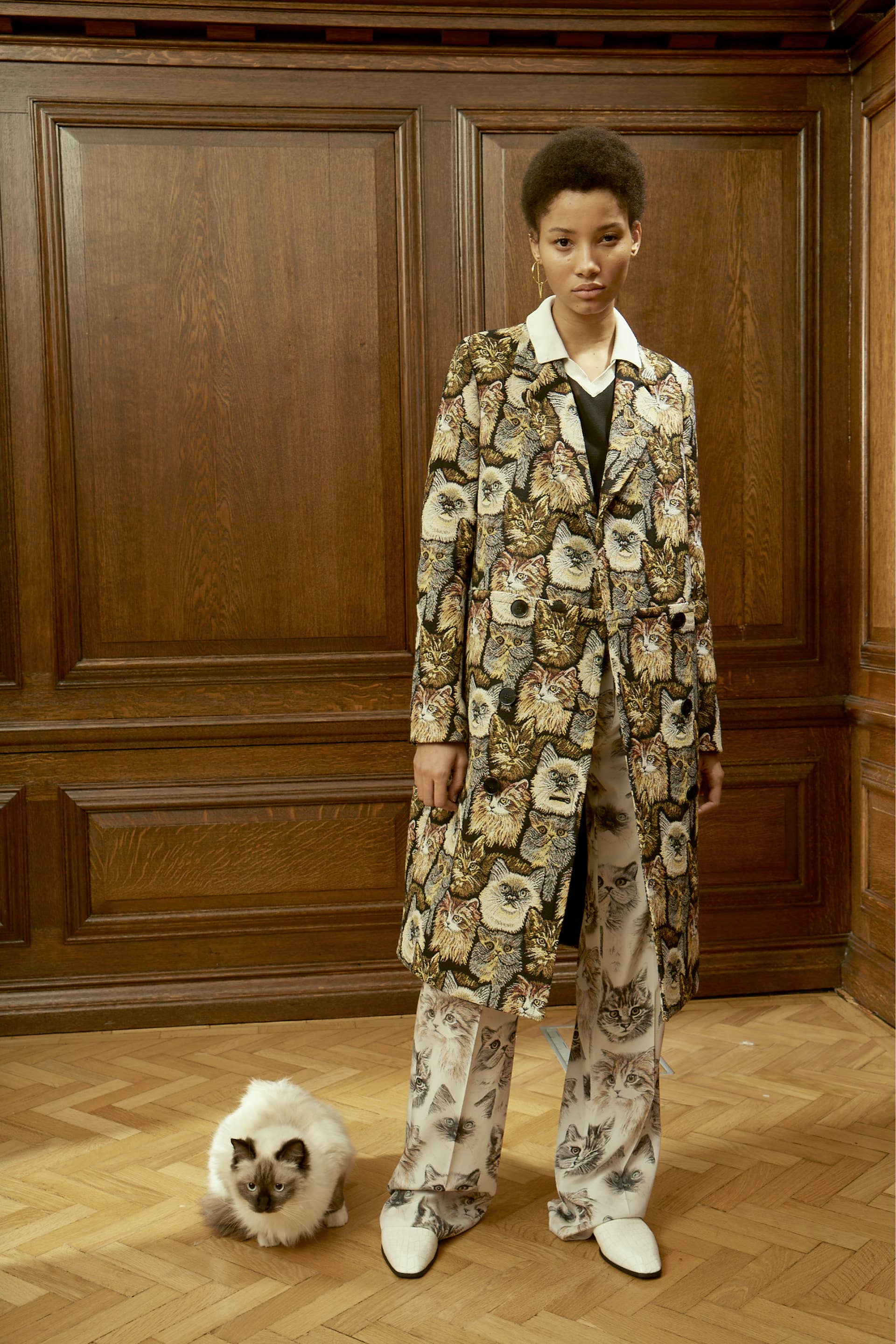 stella mccartney cat jacket