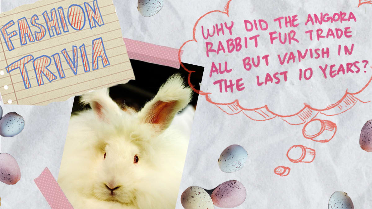 Fashion Trivia: The Rabbit Revolution