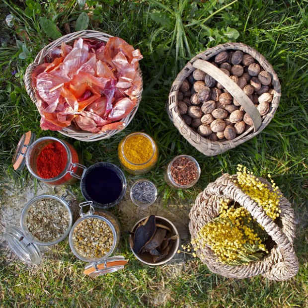 An assortment of natural materials including for turmeric, eucalyptus and chamomile to be used for dyeing purposes. Photo: @baigesdesign/Instagram