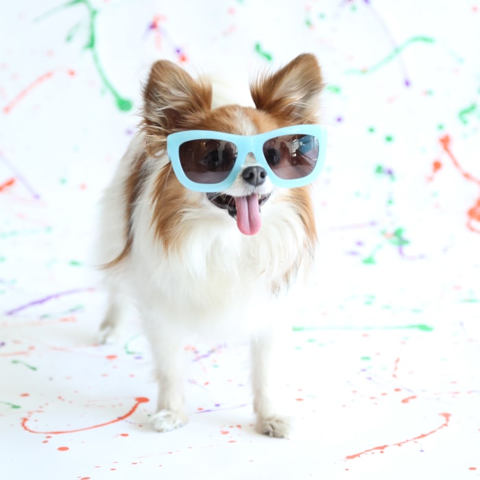 Fred is wearing & Other Stories Pastel Acetate Sunglasses, $85, available at & Other Stories.