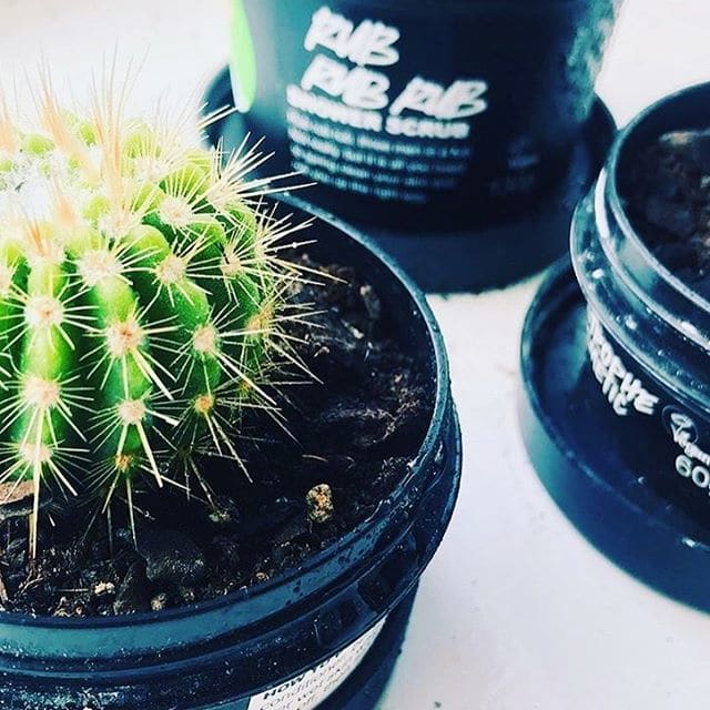 A pretty genius idea for reusing beauty empties. Photo: @lushcosmetics/Instagram
