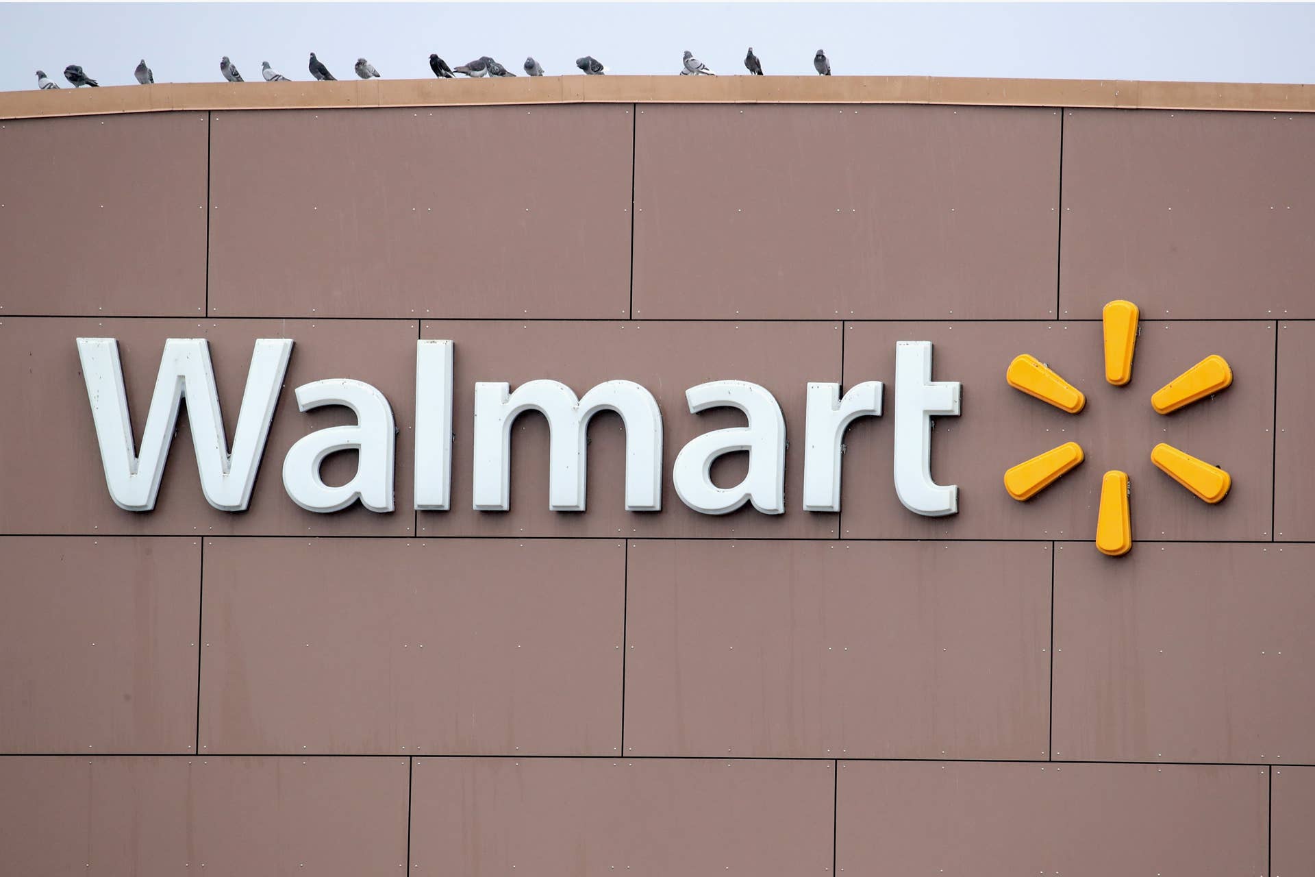 walmart-everlane