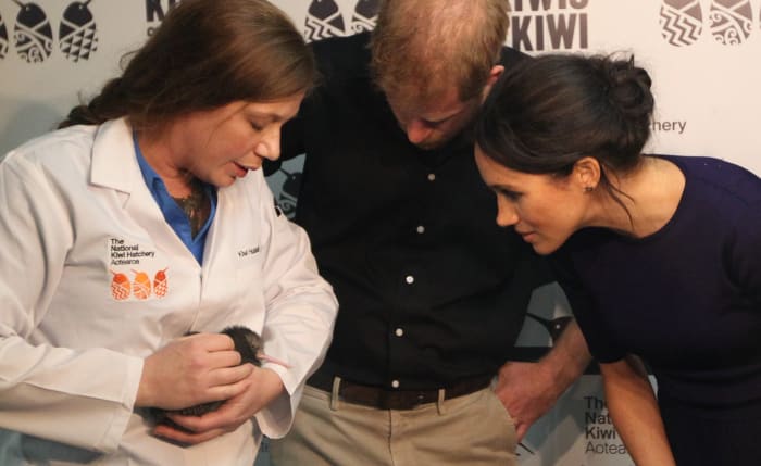 Kiwi Encounter husbandry manager Emma Bean with Tihei the kiwi chick and the Duke and Duchess of Sussex. Photo: Stephen Parke - Pool/Getty Images