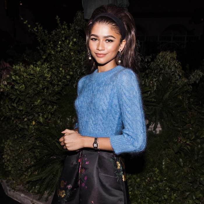 Zendaya wearing Erdem x H&M. Photo: @hm/Instagram