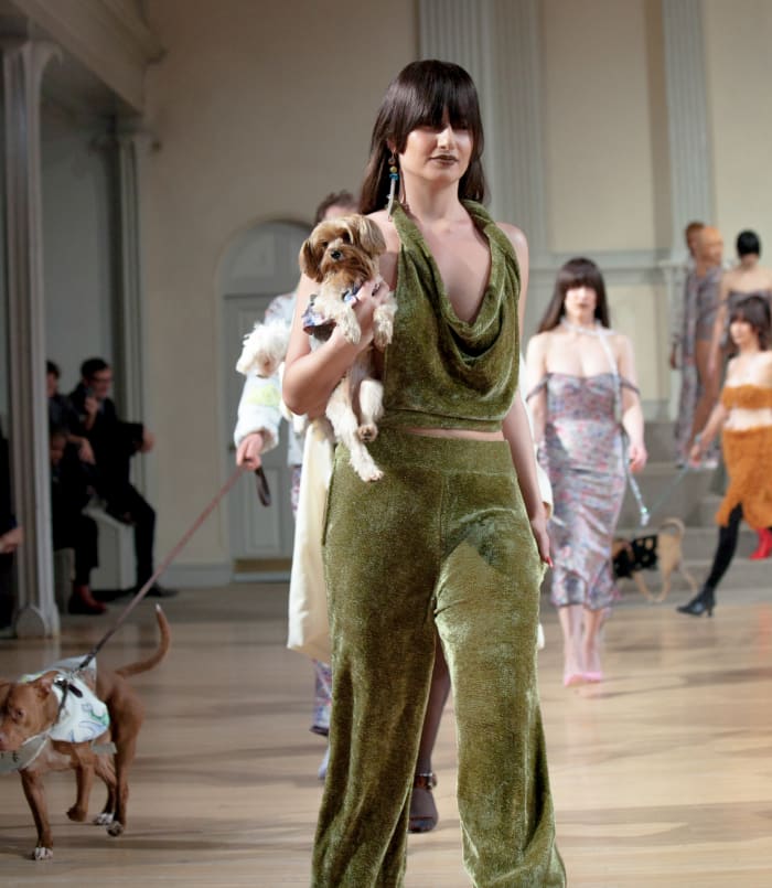 Pups were walked on leashes and carried in models' arms at Gauntlett Cheng's Fall 2018 show. Photo: Gauntlett Cheng