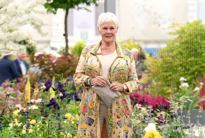 fashion fashion judi dench vogue cover june 2020