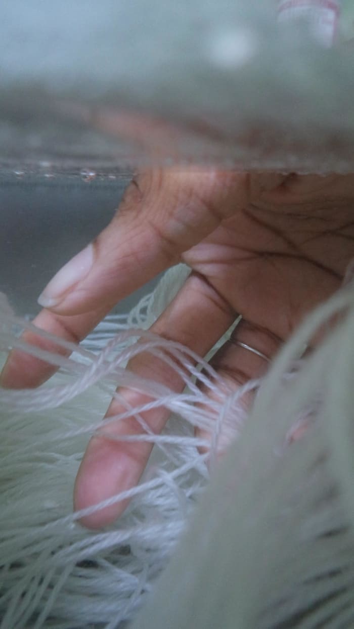 beauty trends beauty trends natural dye diy ocean rose