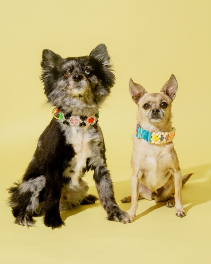 Susan Alexandra Seltzer Pet Collar ($98) and Broadway Pet Collar ($98).