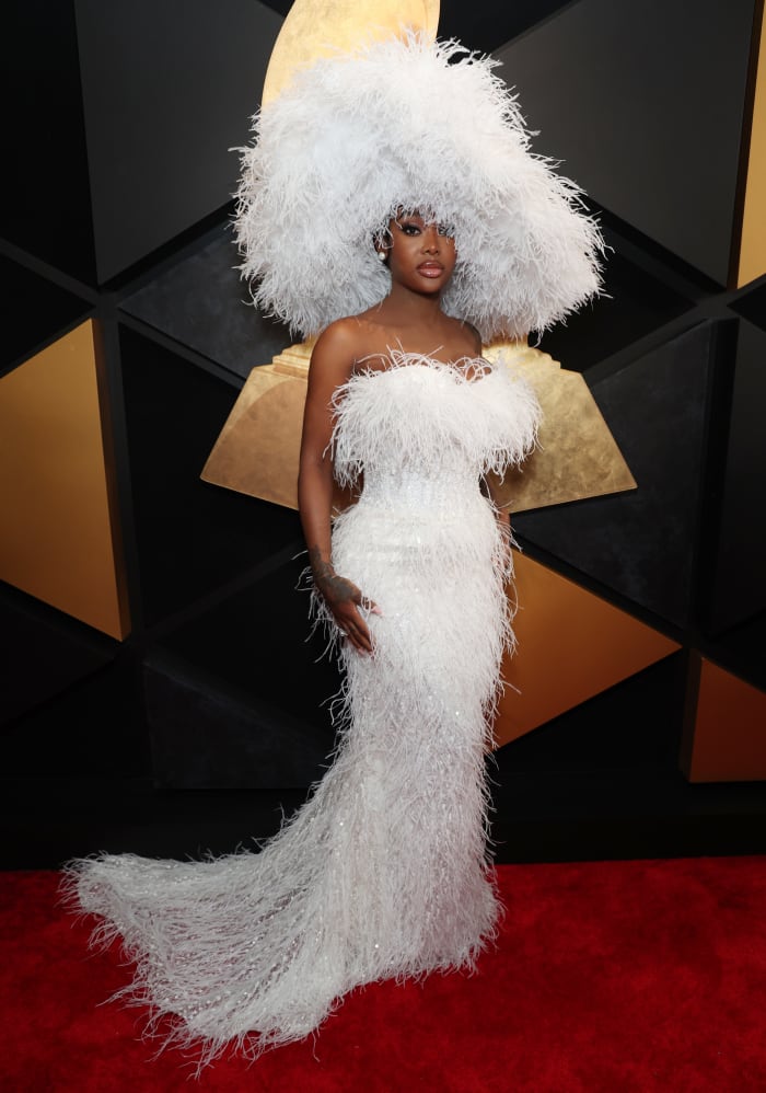 See Every Look From the 2024 Grammys Red Carpet - Fashionista