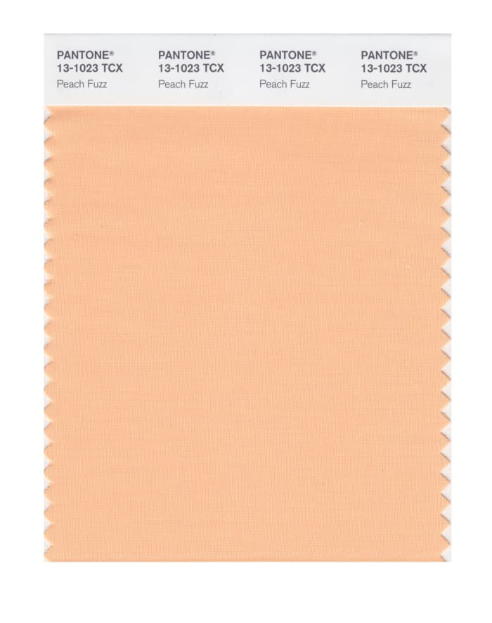 Pantone's 2024 Color of the Year is 'Peach Fuzz' - Fashionista