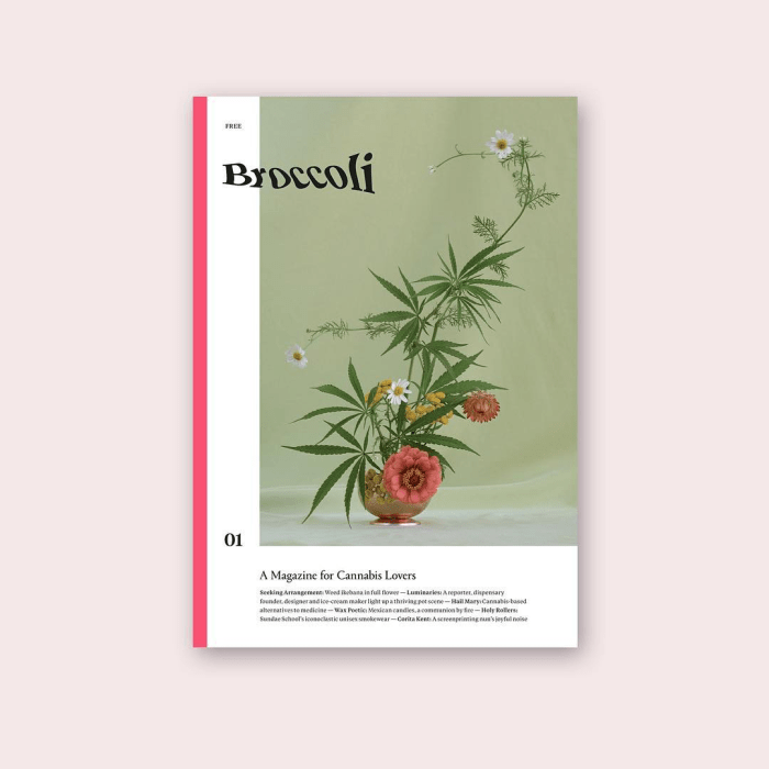 Broccoli Issue 01. Photo: @broccoli_mag/Instagram