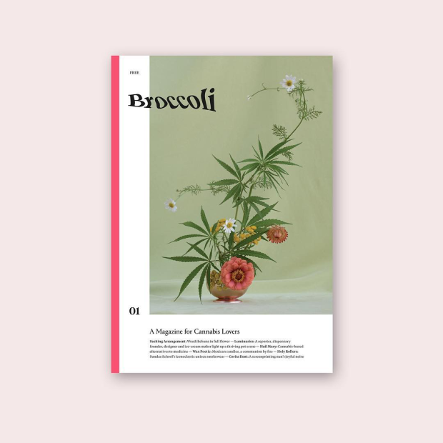Broccoli Issue 01. Photo: @broccoli_mag/Instagram