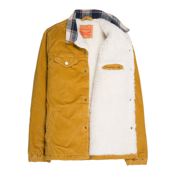 Levi's. Photo: Courtesy