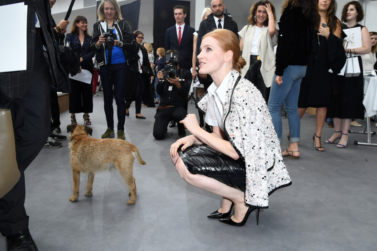 Dogs always get all the attention, no matter how good the fashion. Photo: Pascal Le Segretain/Getty Images 