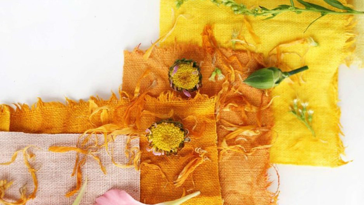 Why Is Fashion Still Sleeping on AllNatural Dyes? Fashionista