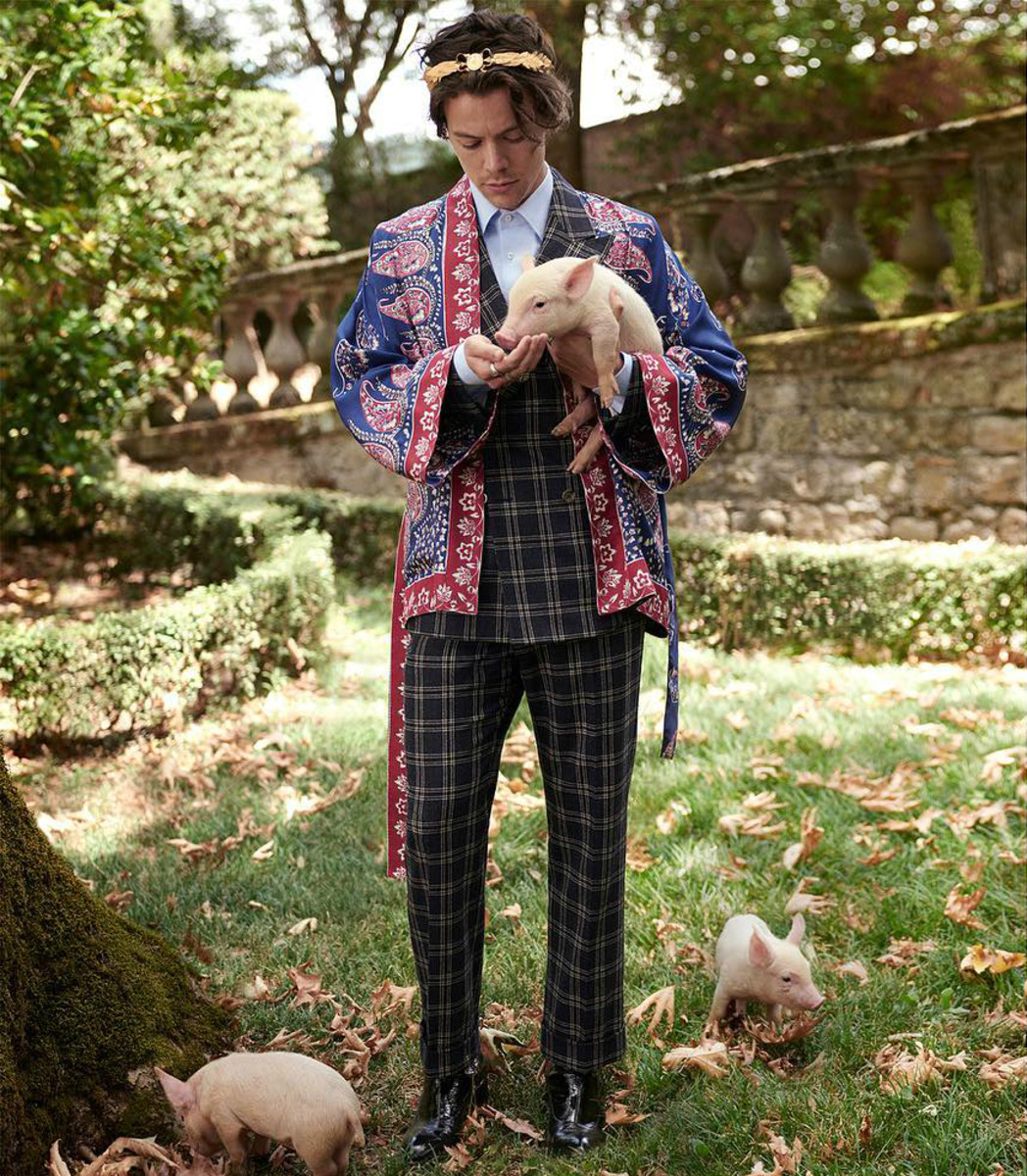 Harry Styles Campaign 