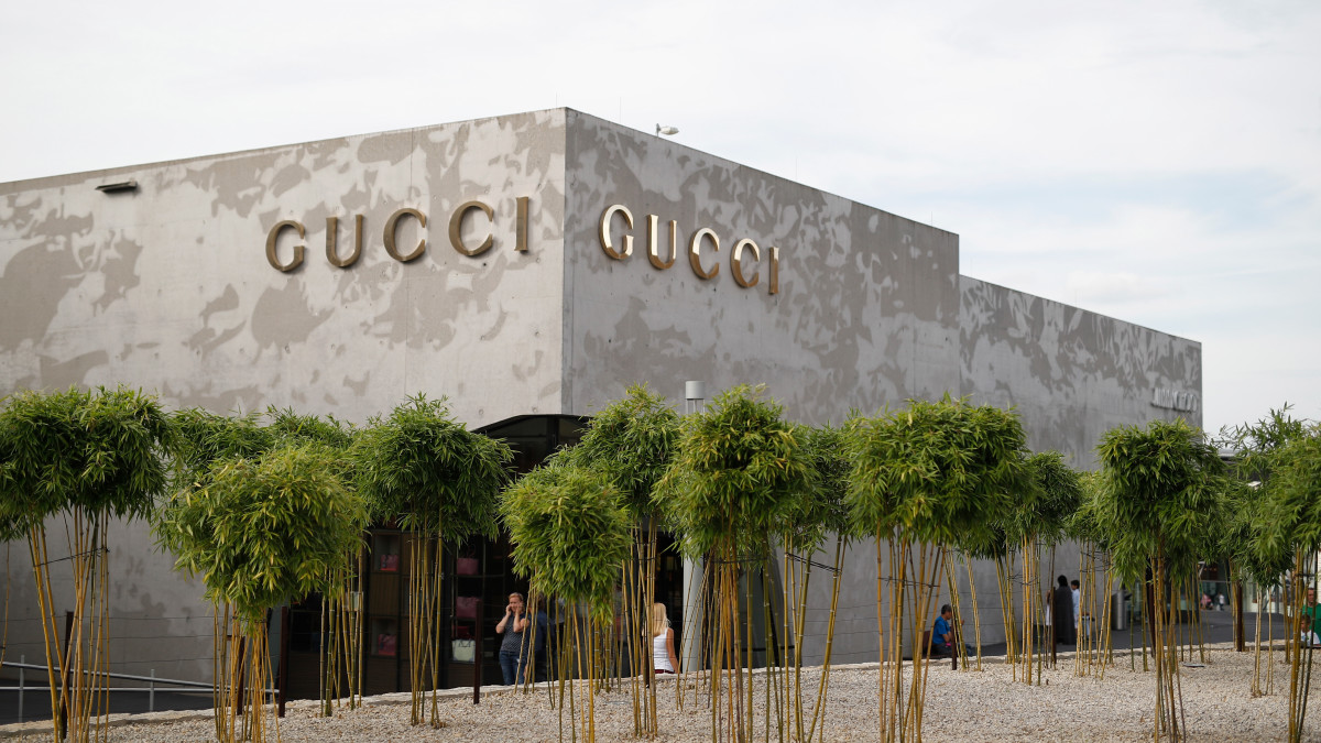 Gucci goes carbon neutral in attempt to tackle climate crisis, Climate  crisis