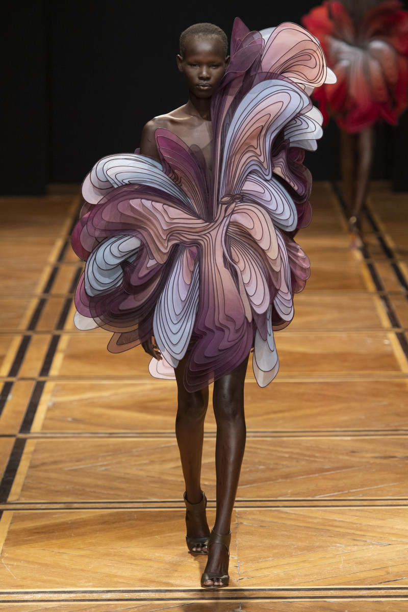A look from the Iris van Herpen Couture Spring 2019 show. Photo: Imaxtree