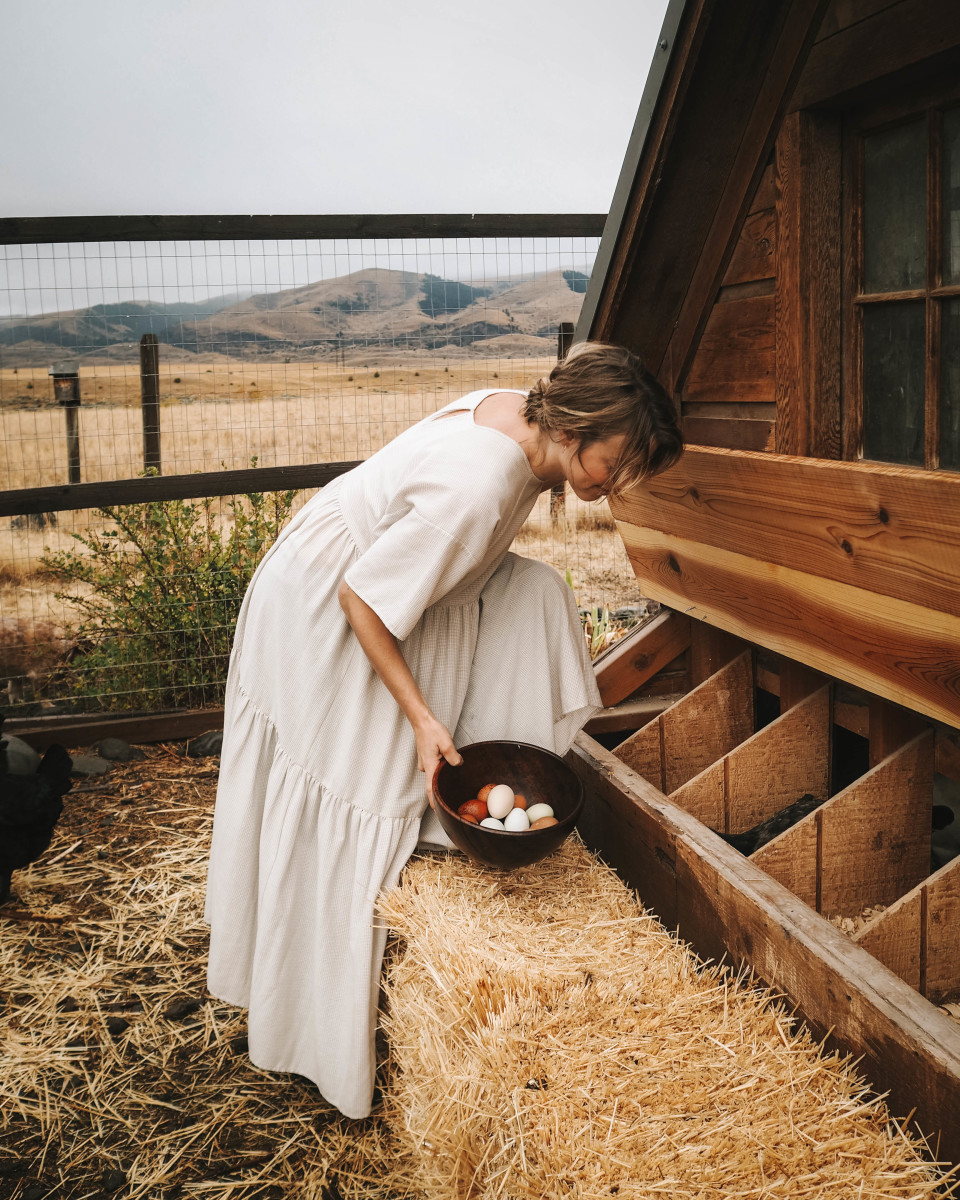 Kristi Reed gathering eggs from her chicken coop.