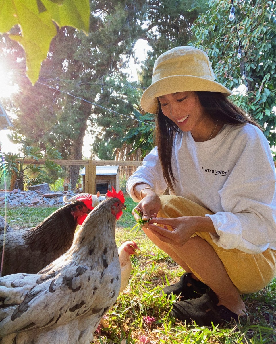 Jenny Ong feeding her chickens (and making a statement about voting).