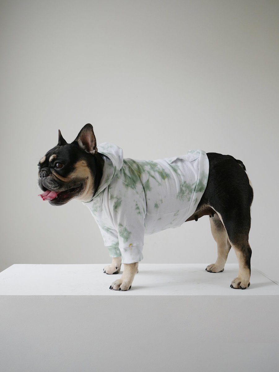 What to Get the Person Whose Pet Is Their Entire Personality